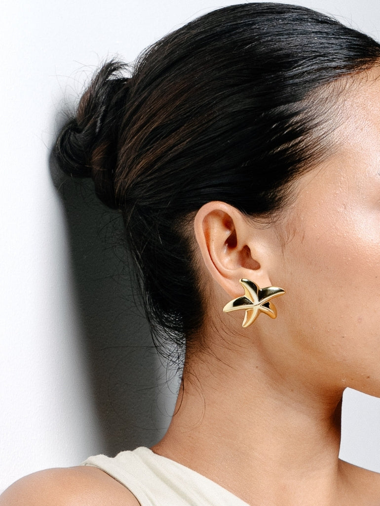 Aqua Earrings