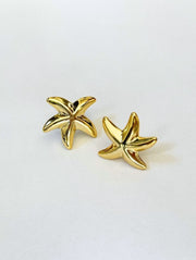 Aqua Earrings
